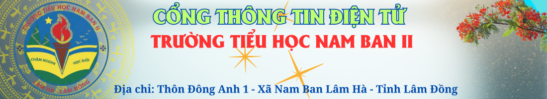 Trường Tiểu học Nam Ban II